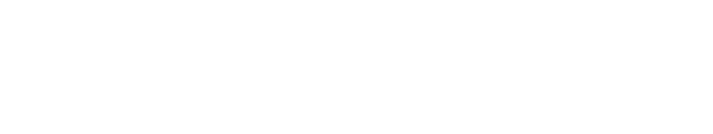 Mac Fly Logo